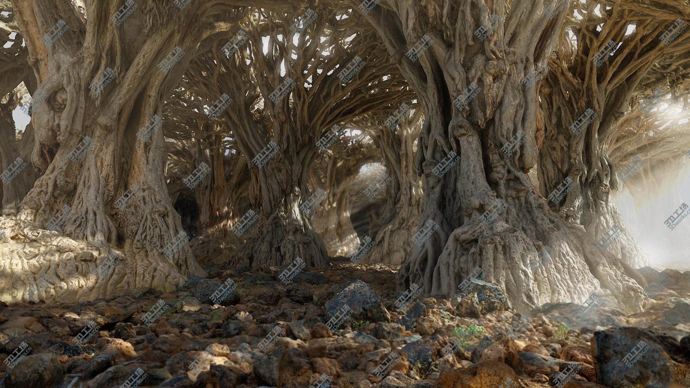 images/goods_img/202104022/Dragon Forest/1.jpg